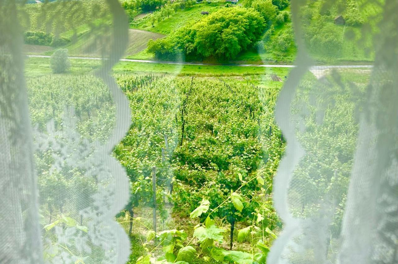 Wine Paradise Sveti Ivan Zelina Buitenkant foto