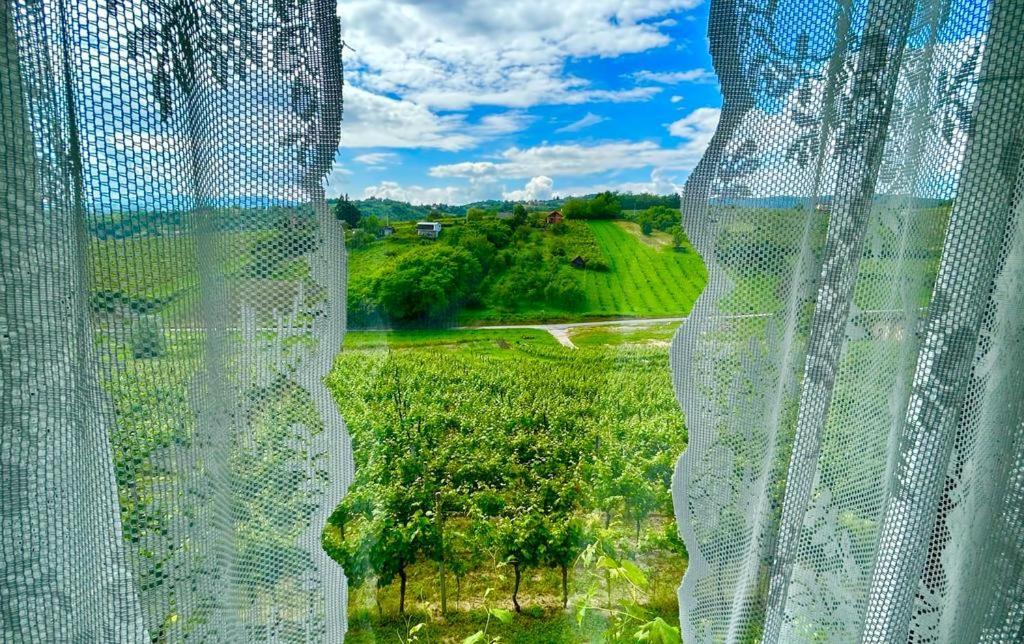 Wine Paradise Sveti Ivan Zelina Buitenkant foto