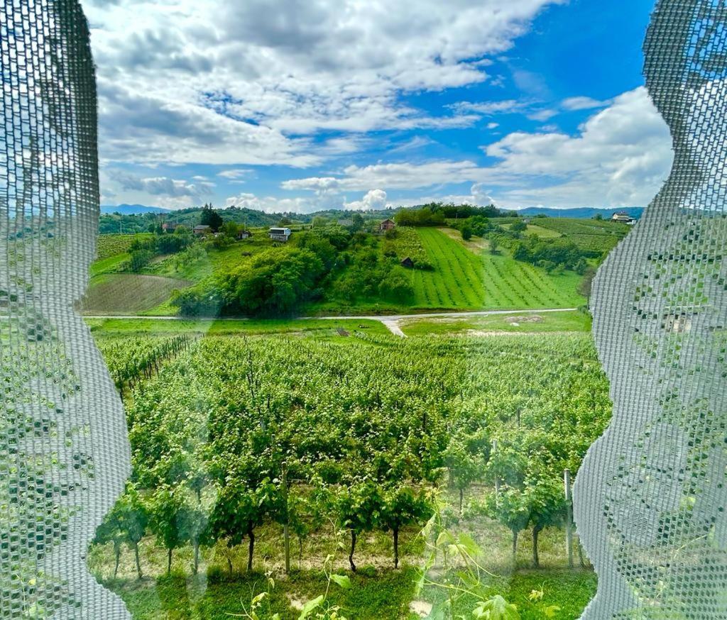 Wine Paradise Sveti Ivan Zelina Buitenkant foto