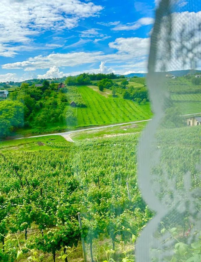 Wine Paradise Sveti Ivan Zelina Buitenkant foto