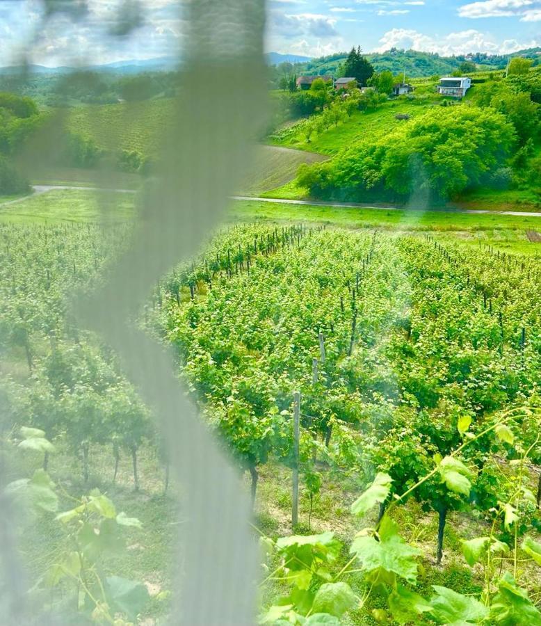 Wine Paradise Sveti Ivan Zelina Buitenkant foto