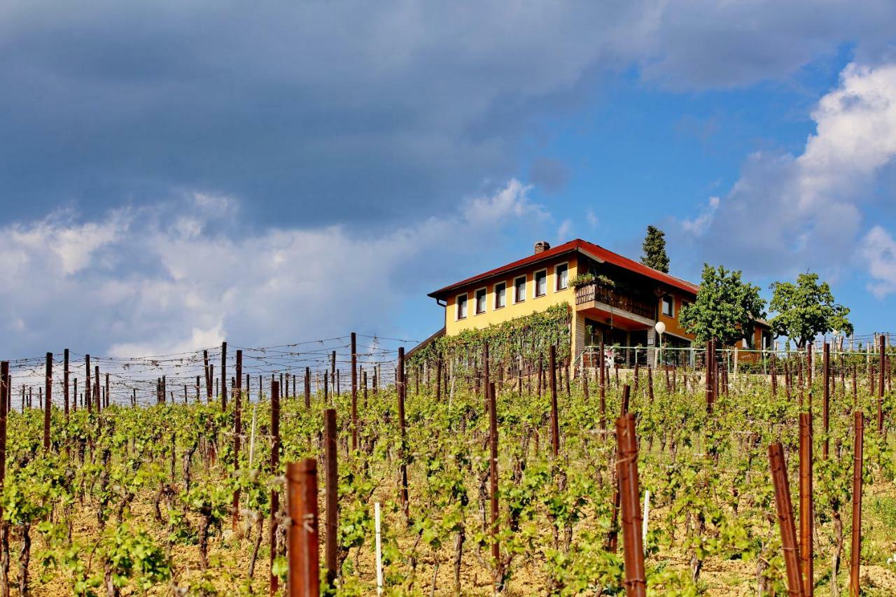 Wine Paradise Sveti Ivan Zelina Buitenkant foto