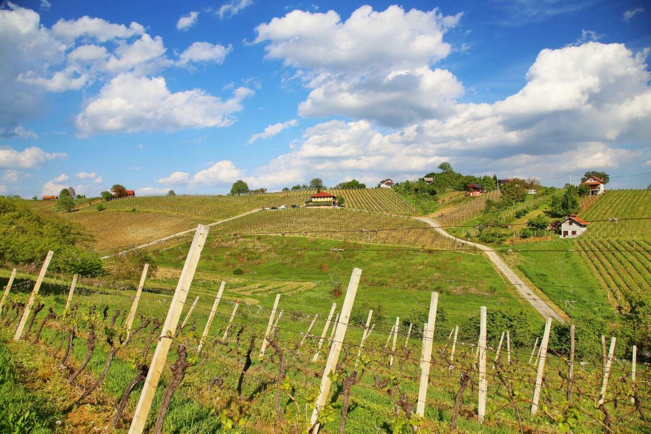 Wine Paradise Sveti Ivan Zelina Buitenkant foto
